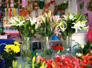 精美花店装饰效果图
