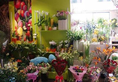花店增加零食水果项目怎么做?花店增加零食水果项目,创业新机遇等你来抓!