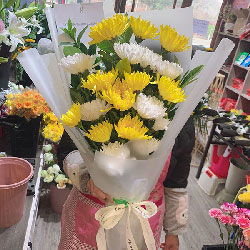 漯河花店