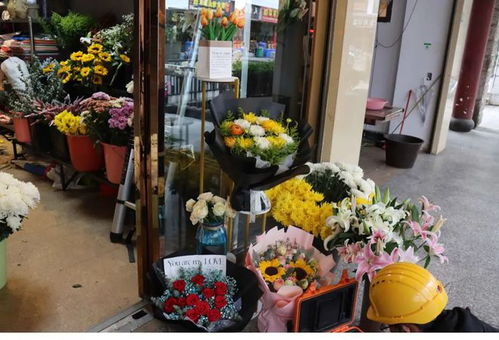 清明临近丽江菊花热销，文明祭祀蔚然成风