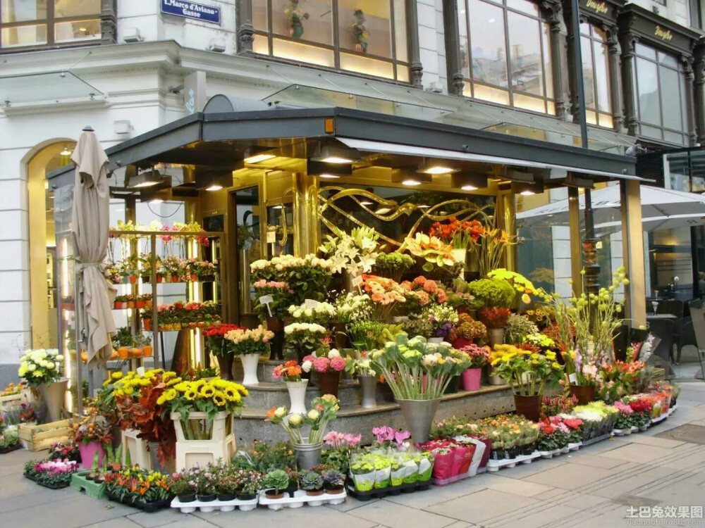 花语世界 堆糖美图壁纸兴趣社区中的花店风景