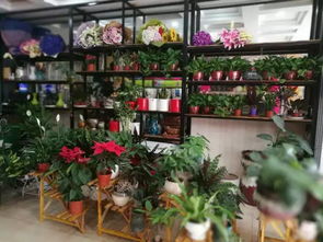 VR梦幻体验馆携手俪缘花店 双倍惊喜，五折狂欢