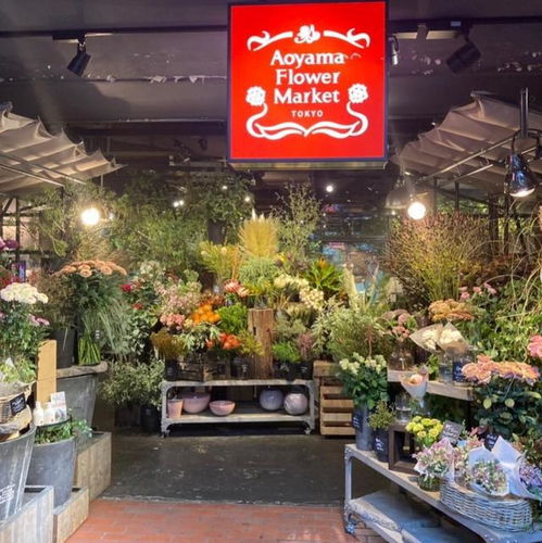 青山花店 于都市繁华中，采撷自然诗篇