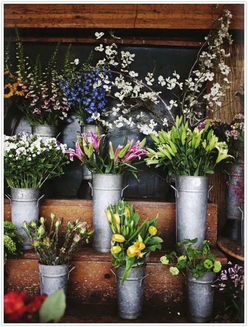 花店装修不用愁，这些风格随你挑